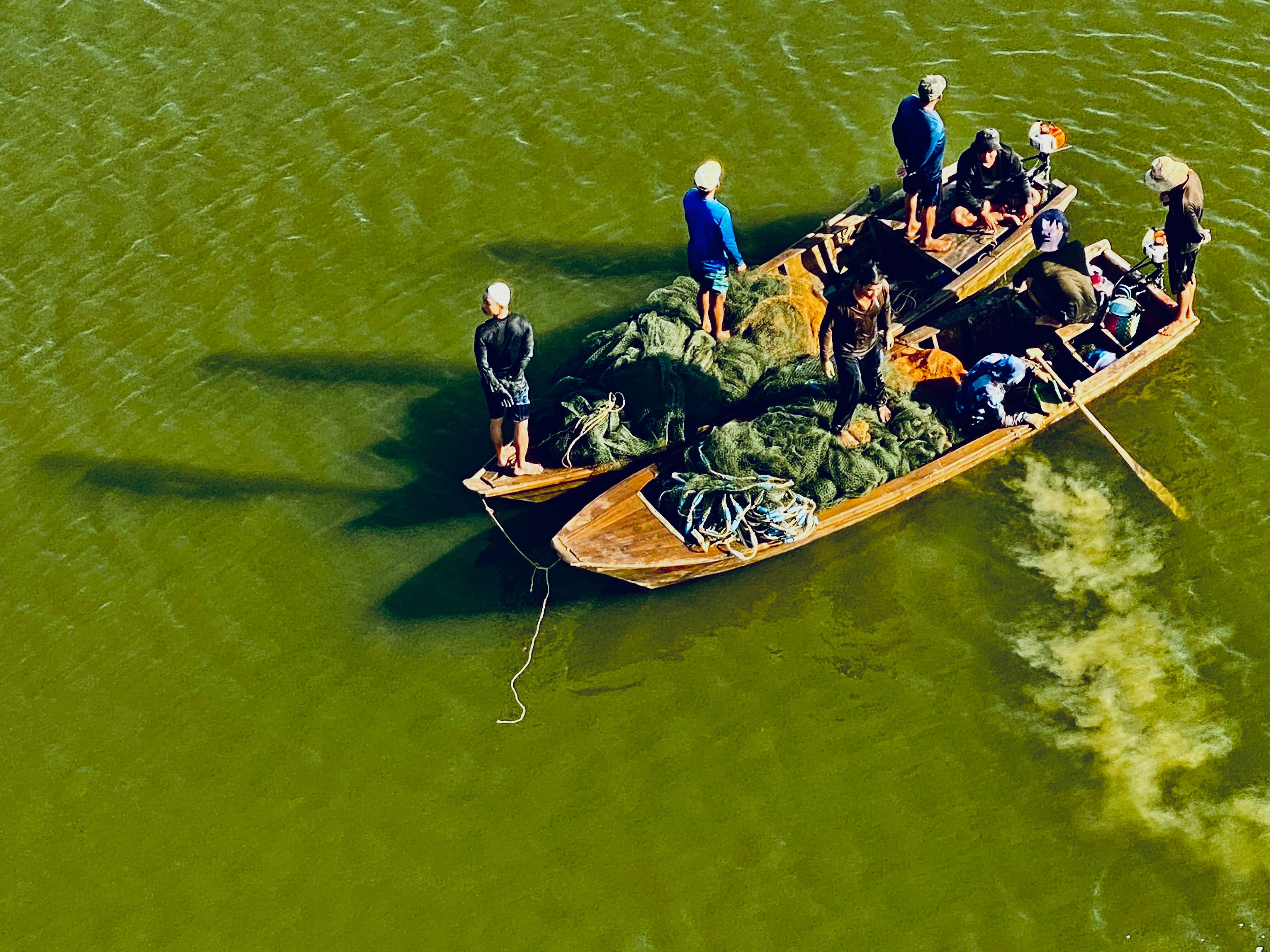 در آفتاب صبحگاهی.