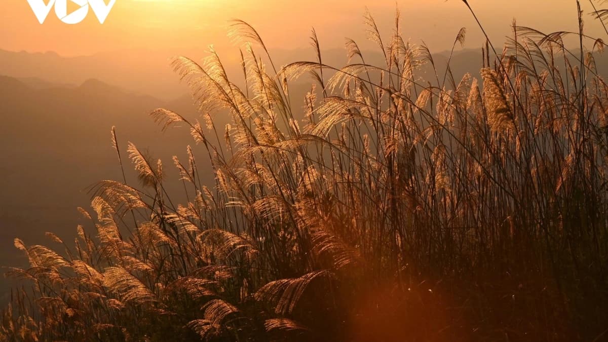 Öğleden sonranın renkleri, Dien Bien'i kelimelerle anlatılamayacak bir güzellikle kaplıyor.