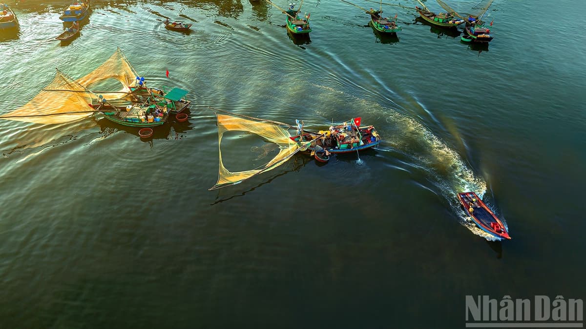 Nyüzsgő új nap Nghi Thuy halászkikötőjében