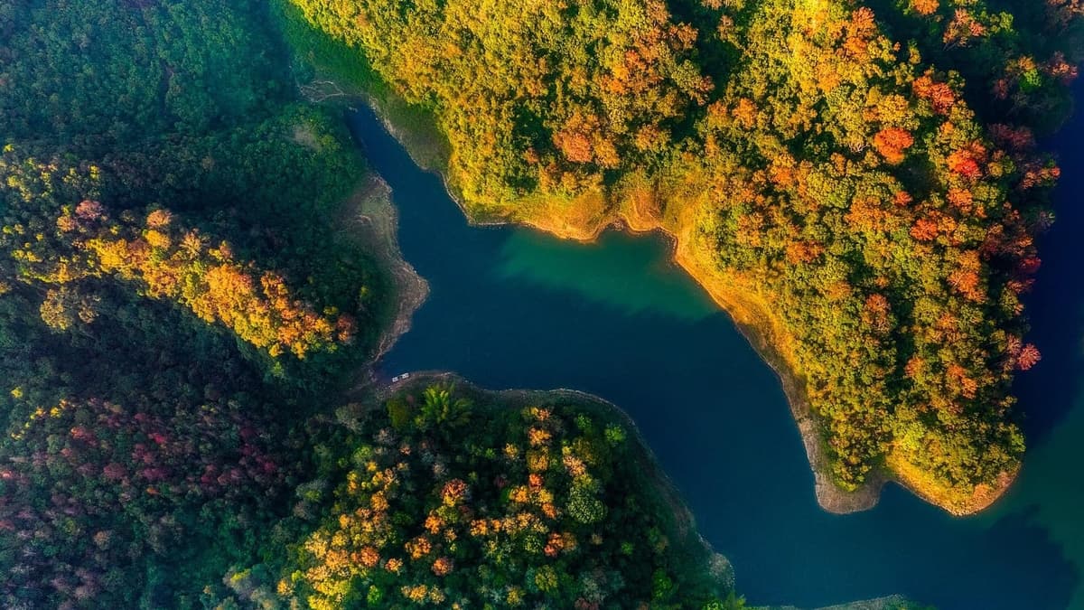 Wenn der Winter naht, sollten Sie den Ban Viet See besuchen und die sich verändernden Farben der Blätter bewundern.