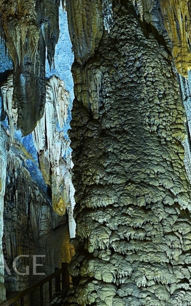 ピカソの未公開肖像画がオークションに出品される