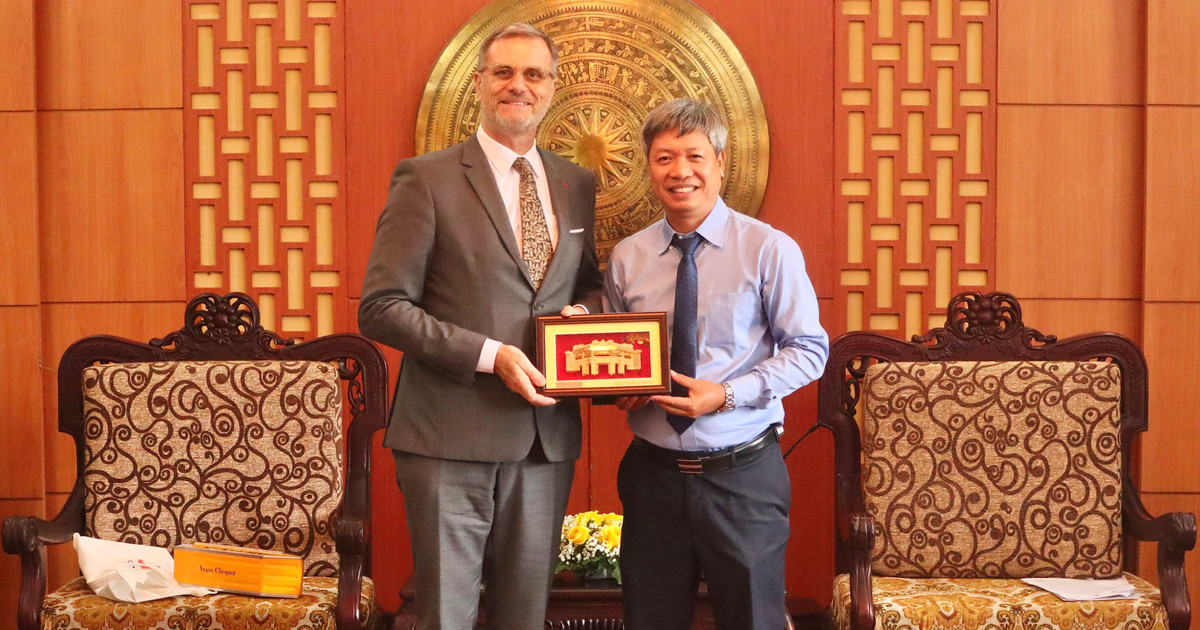 Les dirigeants de la province de Quang Nam ont reçu l'ambassadeur extraordinaire et plénipotentiaire de la République française au Vietnam