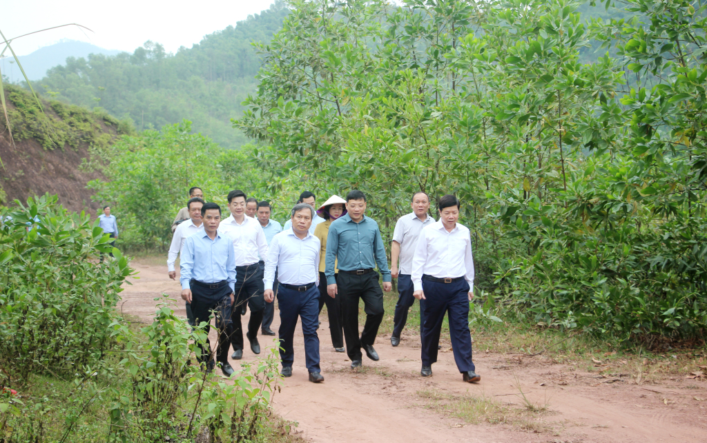 សមមិត្ត Vu Dai Thang សមាជិកគណៈកម្មាធិការមជ្ឈិមបក្ស លេខាគណៈកម្មាធិការបក្សខេត្ត បានចុះពិនិត្យដោយផ្ទាល់លើផ្ទៃដីព្រៃរងការខូចខាតនៅស្រុក Ba Che។