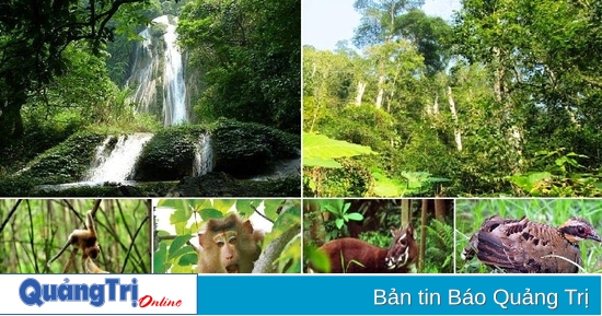 1,91 ពាន់លានដុងដើម្បីគាំទ្រដល់ការសាងសង់ខ្សែសង្វាក់ផ្គត់ផ្គង់ផលិតផលព្រៃឈើប្រកបដោយនិរន្តរភាព ធ្វើអោយប្រសើរឡើងនូវភាពធន់នឹងព្រៃឈើ និងជីវចម្រុះនៅខេត្ត Quang Tri