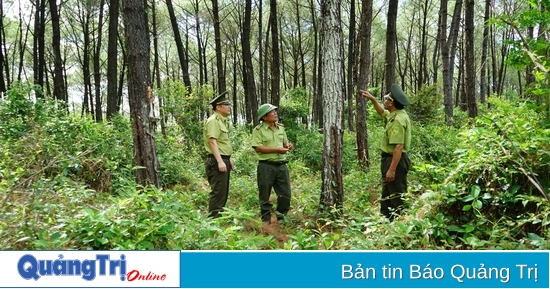 នៅ​មាន​៩​គ្រឿង​ទៀត​ដែល​មិន​បាន​ចំណាយ​លើ​ការ​ដាំ​ដើម​ឈើ​ឡើង​វិញ បើ​ទោះ​បី​ត្រូវ​បាន​រំលឹក​ជា​លើក​ទី​៣​ក៏​ដោយ។