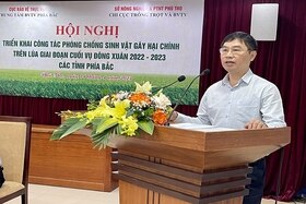 Triển khai công tác phòng, chống sinh vật gây hại chính trên lúa Đông Xuân các tỉnh phía Bắc