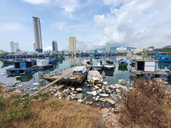Rác tràn ngập cửa biển, cảng cá ở Bình Định ảnh 11