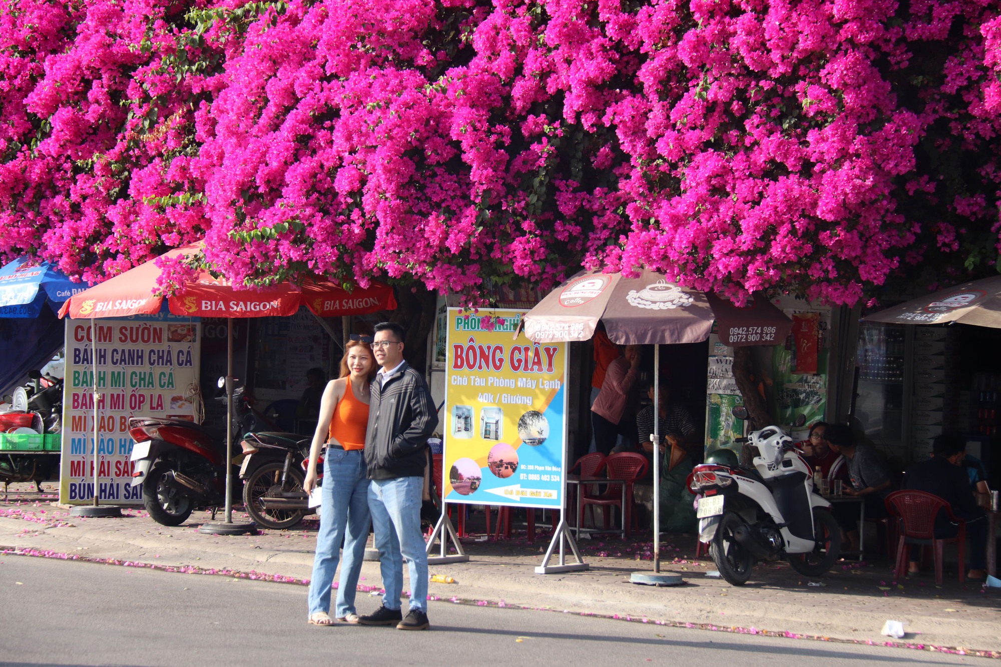  Độc đáo giàn hoa giấy rực đỏ bên cạnh nhà thờ ở Phan Thiết - Ảnh 3.