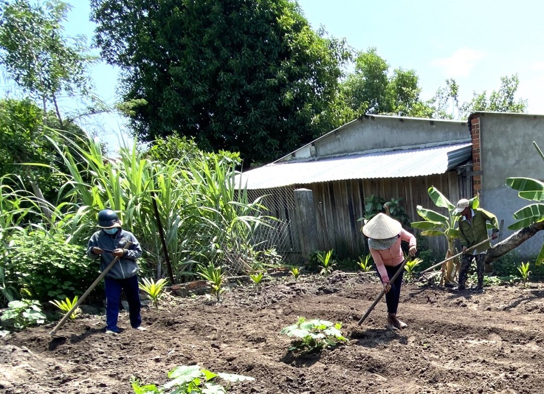 Người dân buôn Kr ông thực hiện mô hình trồng rau sạch do Phòng NN&PTNT huyện đã hỗ trợ cây giống.