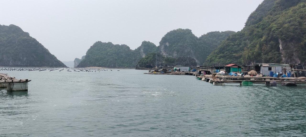 Quảng Ninh: Cơ sở nuôi trồng thủy sản uy hiếp vùng lõi vịnh Hạ Long  - Ảnh 1.