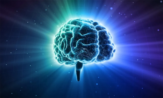 Hầu hết các phần của bộ não hoạt động gần như mọi lúc. Ảnh: BlueBackIMAGE/Shutterstock