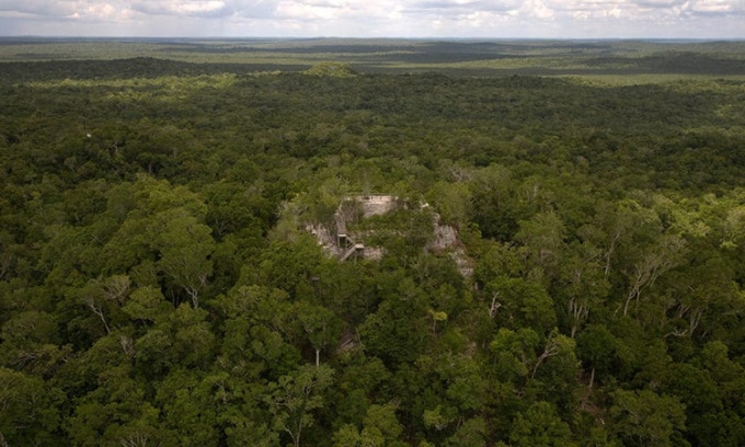 Một ngôi đền Maya tại địa điểm khảo cổ el Mirador trong khu rừng ở Guatemala. Ảnh: Reuters/Daniel Leclair