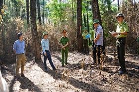Kiểm tra công tác phòng cháy, chữa cháy rừng tại huyện Vĩnh Linh