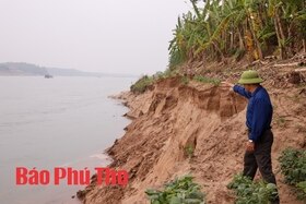 Đầu tư 15 tỉ đồng xử lý khẩn cấp sạt lở bờ vở sông tại xã Dân Quyền, huyện Tam Nông