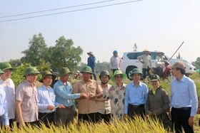 Chủ tịch UBND tỉnh Võ Văn Hưng kiểm tra kết quả sản xuất và tiến độ thu hoạch lúa vụ đông xuân 2022 - 2023