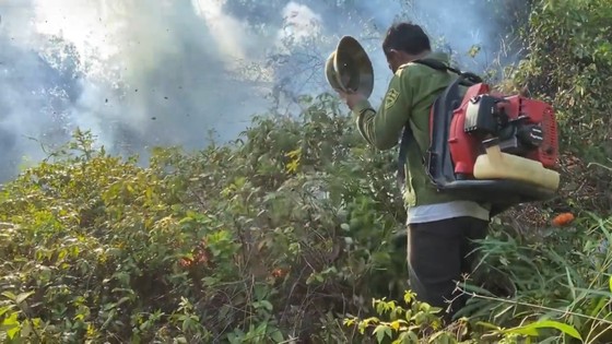 Huy động hàng trăm người nỗ lực dập tắt cháy rừng ở Hà Tĩnh  ảnh 6
