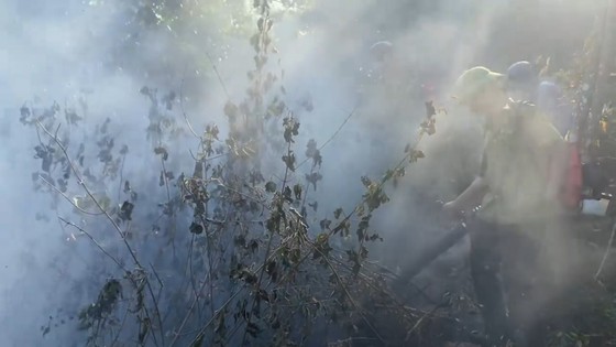 Huy động hàng trăm người nỗ lực dập tắt cháy rừng ở Hà Tĩnh  ảnh 8