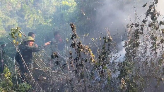 Huy động hàng trăm người nỗ lực dập tắt cháy rừng ở Hà Tĩnh  ảnh 12
