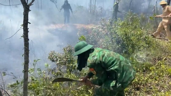 Huy động hàng trăm người nỗ lực dập tắt cháy rừng ở Hà Tĩnh  ảnh 9