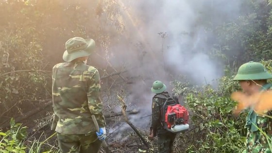 Huy động hàng trăm người nỗ lực dập tắt cháy rừng ở Hà Tĩnh  ảnh 10