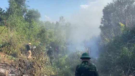 Huy động hàng trăm người nỗ lực dập tắt cháy rừng ở Hà Tĩnh  ảnh 13