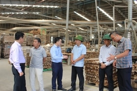 Giám sát về mức chi khuyến công và đầu tư hạ tầng kỹ thuật cụm công nghiệp ở huyện Cam Lộ