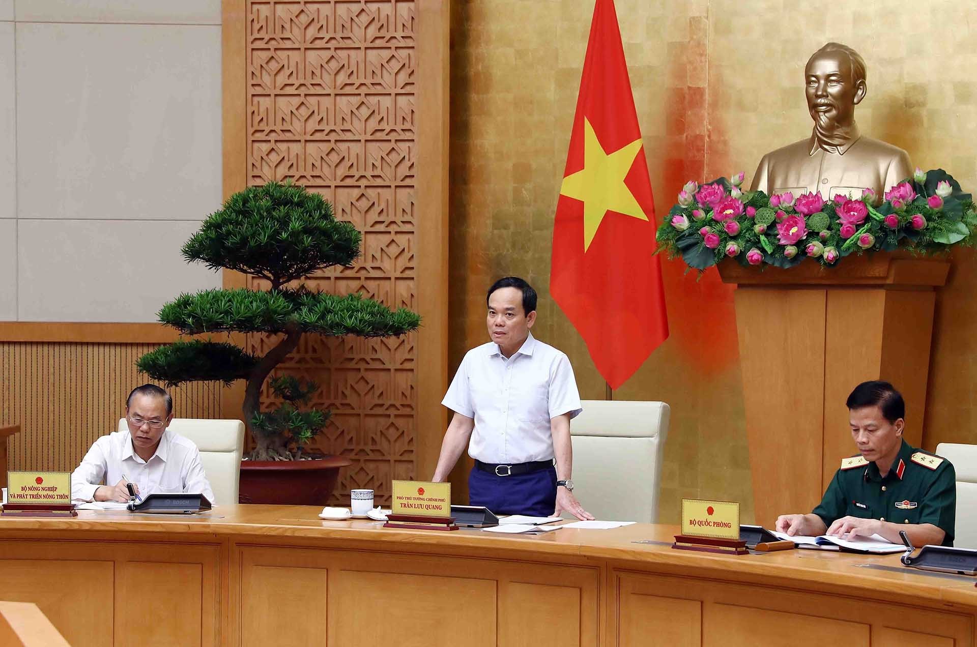 Phó Thủ tướng Trần Lưu Quang phát biểu chỉ đạo. (Nguồn: TTXVN)