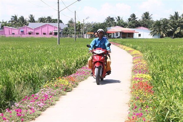 Bao chi Campuchia: Viet Nam quan tam phat trien vung dong bao Khmer hinh anh 2