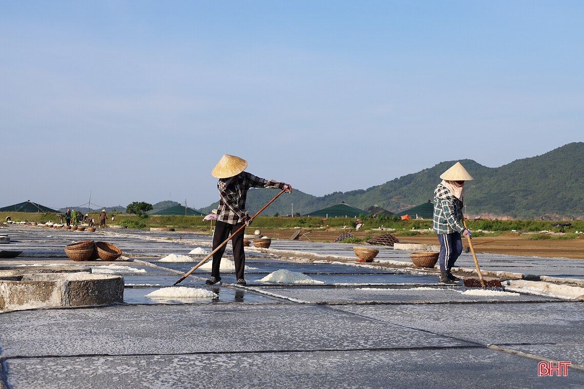 Giá muối tăng, diêm dân Hà Tĩnh phấn khởi bám nắng sản xuất
