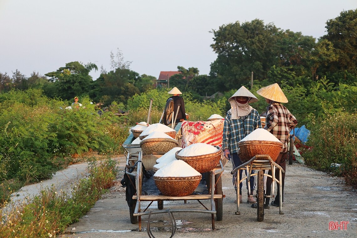 Giá muối tăng, diêm dân Hà Tĩnh phấn khởi bám nắng sản xuất