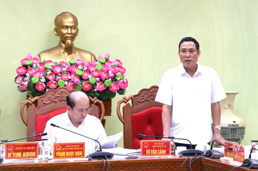 Phó Chủ tịch UBND tỉnh Võ Văn Cảnh phát biểu tại phiên họp.