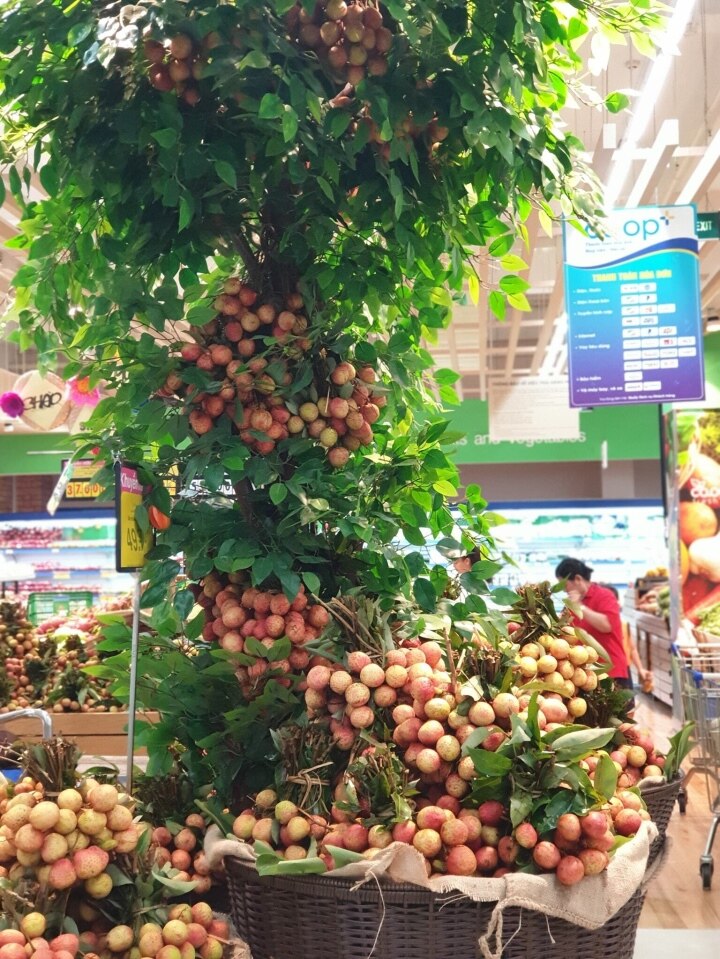 Co.opmart tổ chức 'Lễ hội trái cây', giảm giá mạnh hàng thực phẩm tươi sống - 2