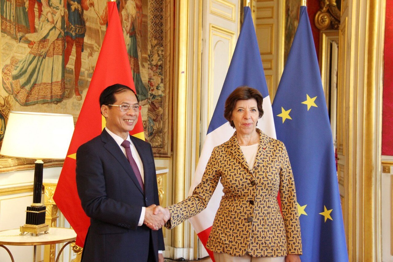 Bộ trưởng Ngoại giao Bùi Thanh Sơn gặp Tổng thư ký OECD Mathias Cormann.  (Ảnh: Bảo Chi)