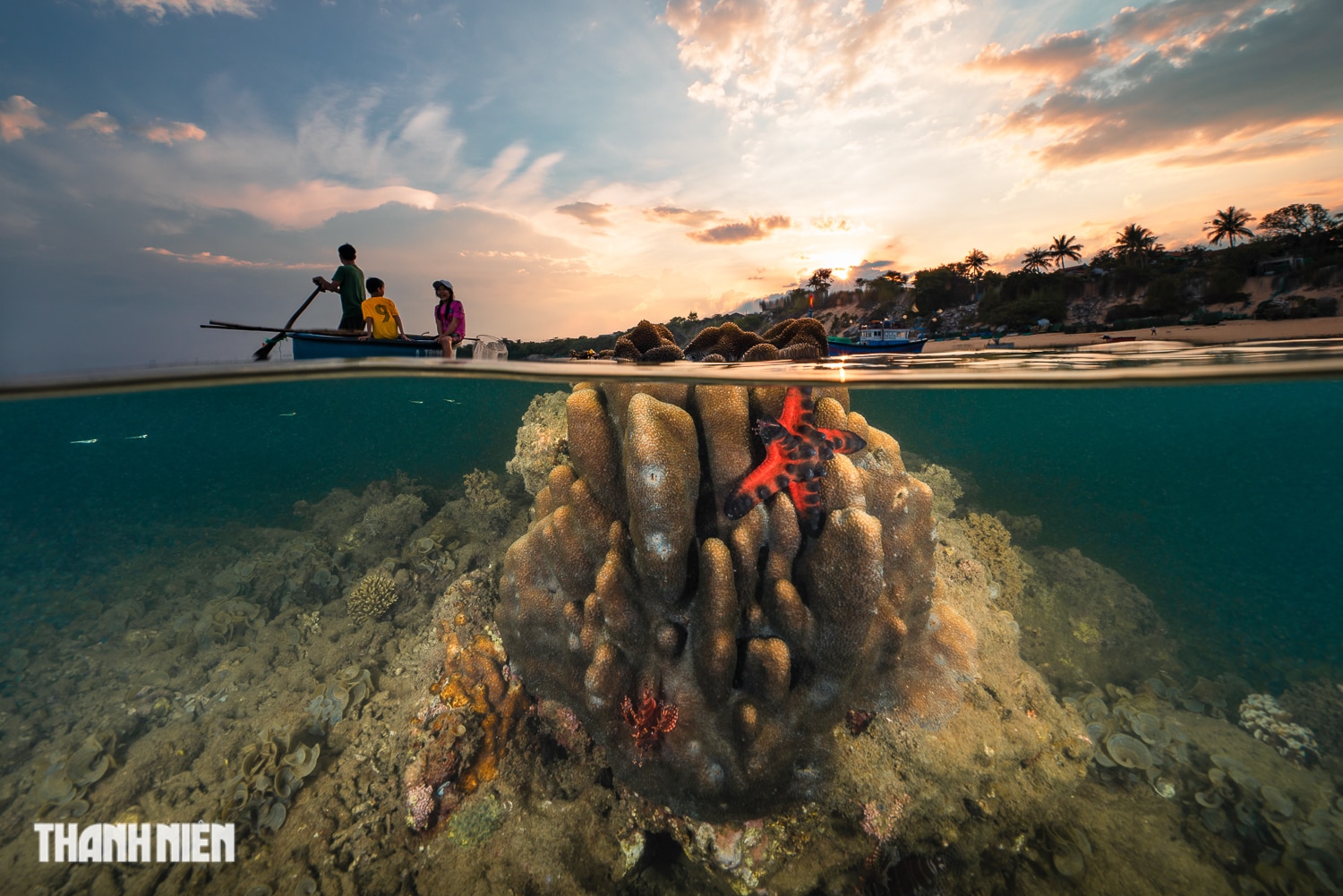 Nhiếp ảnh gia Việt Nam đoạt giải nhì cuộc thi ảnh đại dương quốc tế - Ảnh 6.