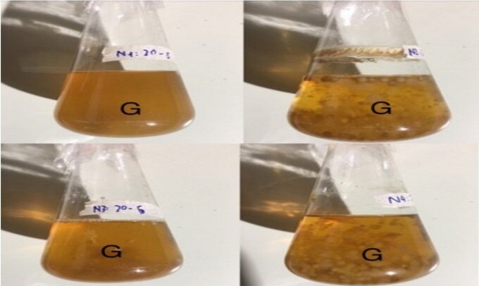 Các chế phẩm sinh học giúp tăng sinh trầm hương được nhóm phối trộn trong phòng thí nghiệm. Ảnh: NVCC