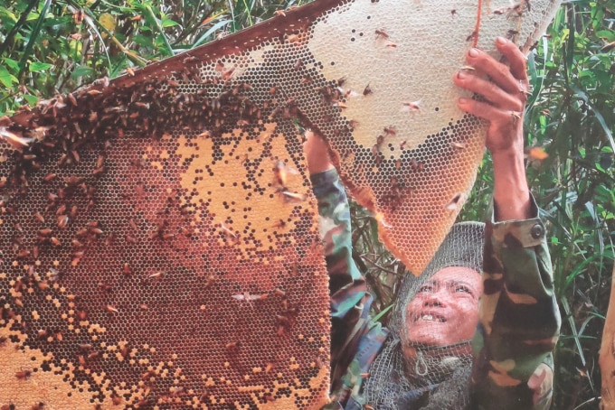 Thợ khai thác mật ong tại Khu du lịch sinh thái Mười Ngọt. Ảnh: Khanh Duy