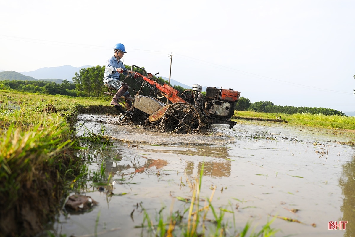 Nông dân Hà Tĩnh chạy đua với lịch gieo cấy hè thu