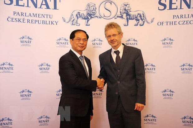 Séc ủng hộ EC sớm gỡ thẻ vàng IUU với Việt Nam - Ảnh 1.
