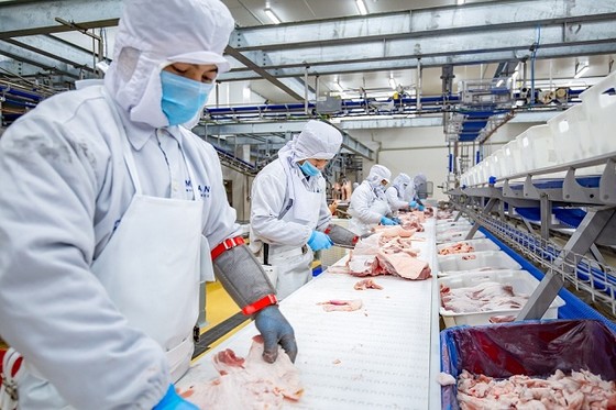 TPHCM đứng đầu về kiểm soát giết mổ gia súc sạch ảnh 1