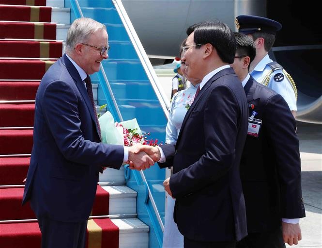 Bộ trưởng, Chủ nhiệm Văn phòng Chính phủ Trần Văn Sơn đón Thủ tướng Australia Anthony Albanese tại sân bay quốc tế Nội Bài. (Nguồn: TTXVN)