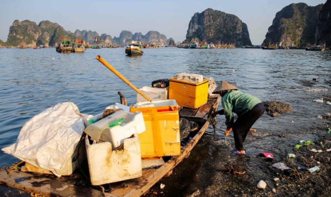 Người dân được chính quyền địa phương thuê đi vớt rác trên vịnh Hạ Long. Ảnh: AFP