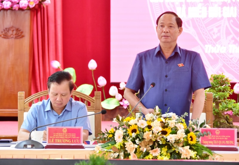 Phó Chủ tịch Quốc hội Trần Quang Phương phát biểu chỉ đạo buổi làm việc