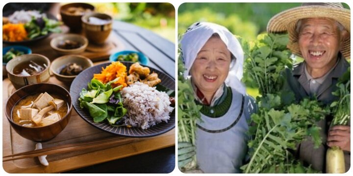 日本人が病気を避けて長生きするための2つの秘訣 - Vietnam.vn