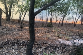 Khống chế được đám cháy xảy ra trên diện tích rừng phòng hộ tại thôn Hà Tây 