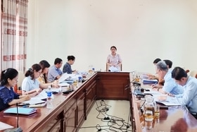 Ban Văn hóa-Xã hội HĐND tỉnh thẩm tra một số nội dung về lĩnh vực tài chính đối với công tác y tế - dân số và đào tạo, bồi dưỡng cán bộ Lào