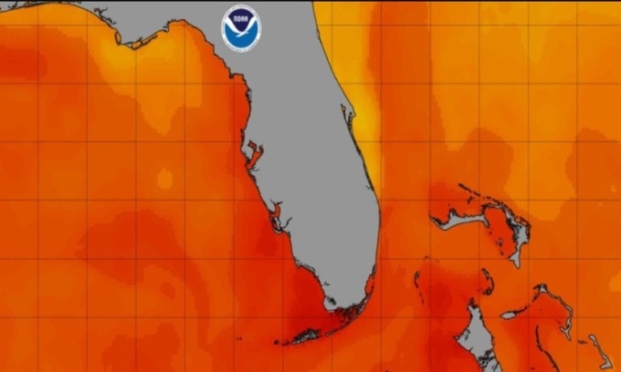 Nhiệt độ đại dương quanh Florida hôm 24/7. Ảnh: NOAA