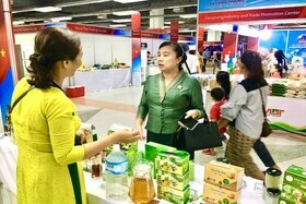 Quảng Trị có 4 gian hàng trưng bày, quảng bá sản phẩm đặc trưng của tỉnh tại Hội chợ thương mại Việt - Lào