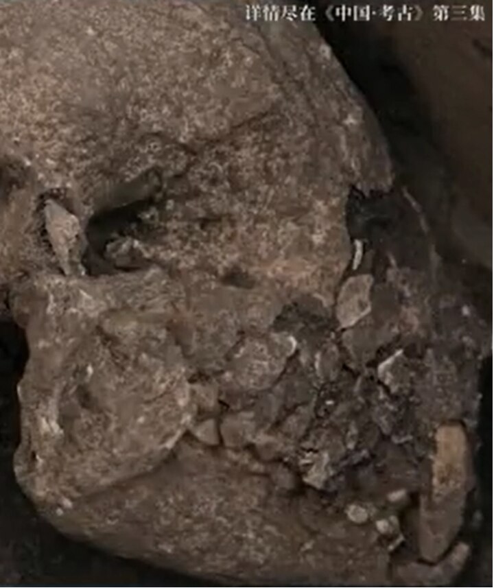 Bộ xương gấu trúc được tìm thấy trong một hố chôn. (Ảnh: Thiểm Tây TV)