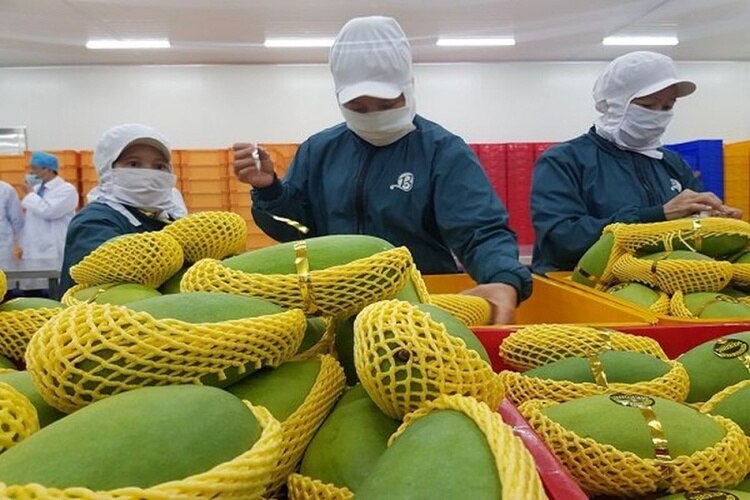 Thị trường nào mua nhiều rau quả nhất của Việt Nam?