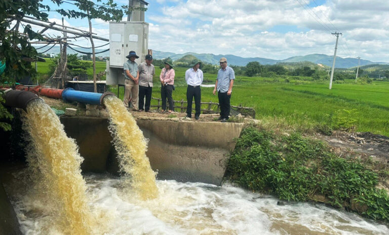 Phu Yen Online - Urgently regulate water, save summer-autumn rice